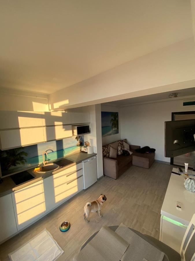 Apartament Edu Beach Resort Navodari Ngoại thất bức ảnh